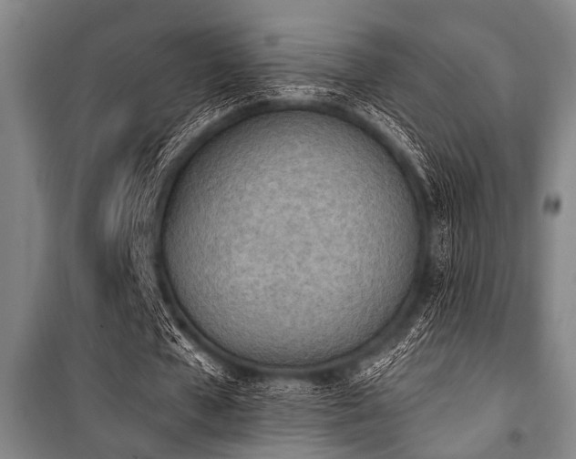 X0000101200577200806271353