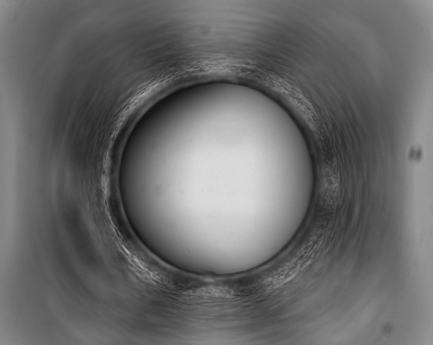X0000101200578200806271353