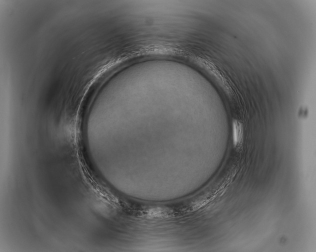 X0000101200579200806271353
