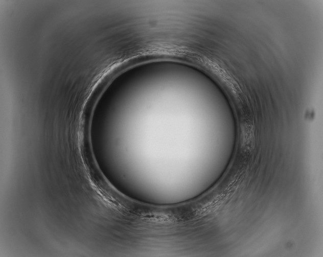 X0000101200580200806271353