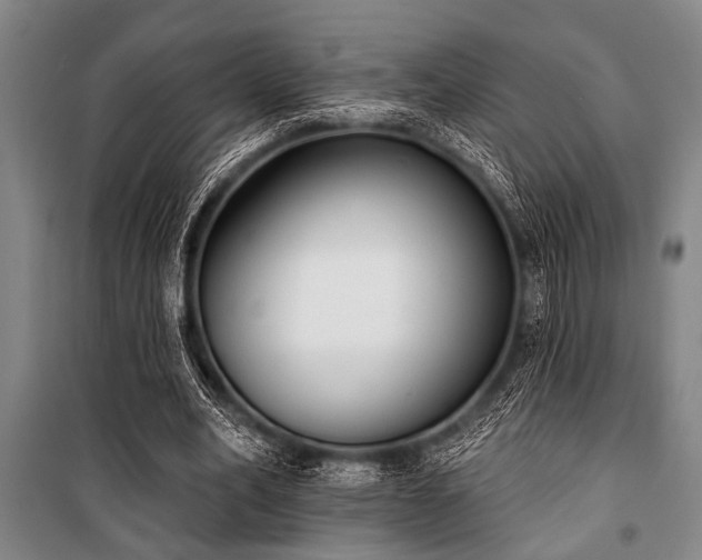 X0000101200582200806271353