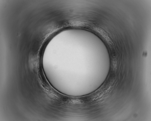 X0000101200583200806271353