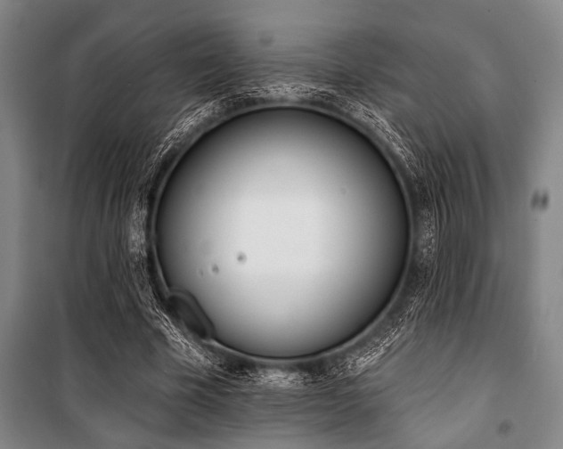 X0000101200585200806271353