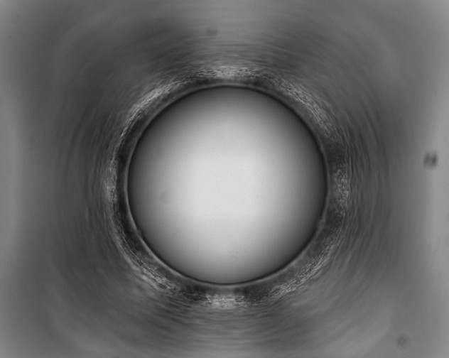 X0000101200587200806271353