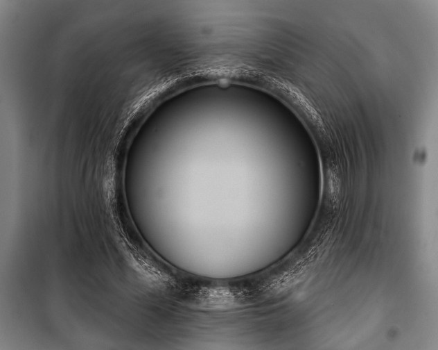 X0000101200588200806271353