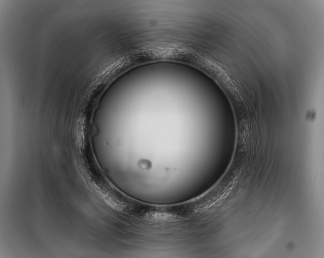 X0000101200590200806271353