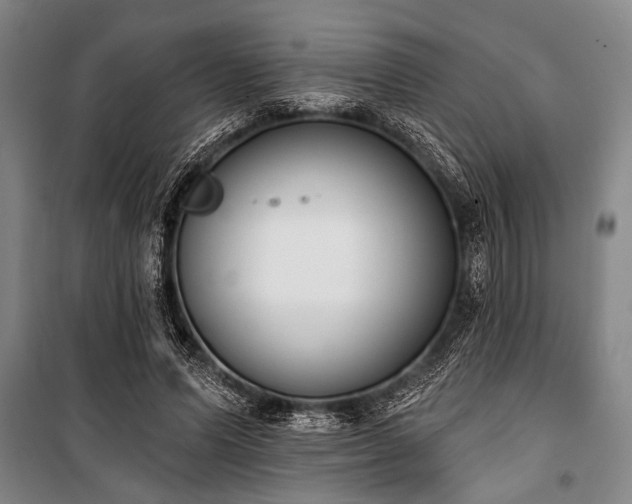 X0000101200591200806271353