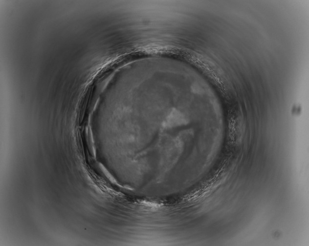 X0000101200592200806271353