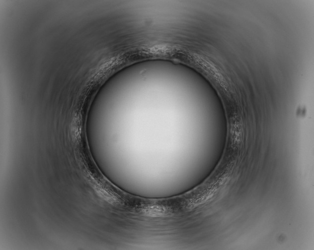 X0000101200593200806271353