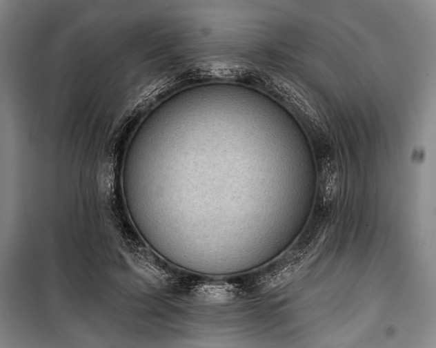 X0000101200595200806271353
