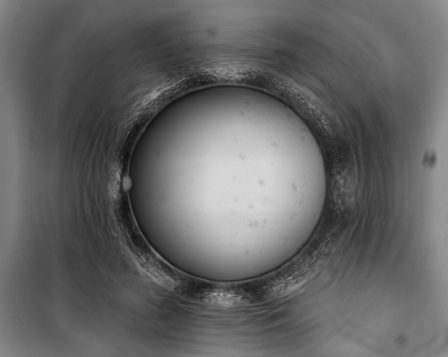 X0000101200596200806271353