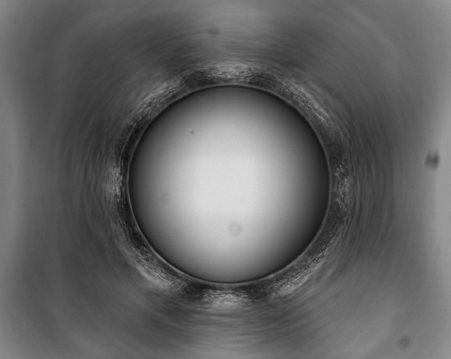 X0000101200597200806271353
