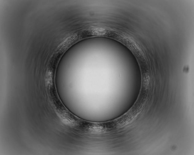 X0000101200598200806271353