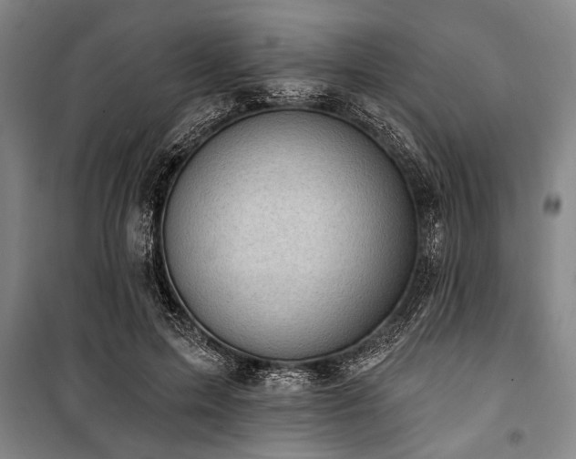 X0000101200599200806271352