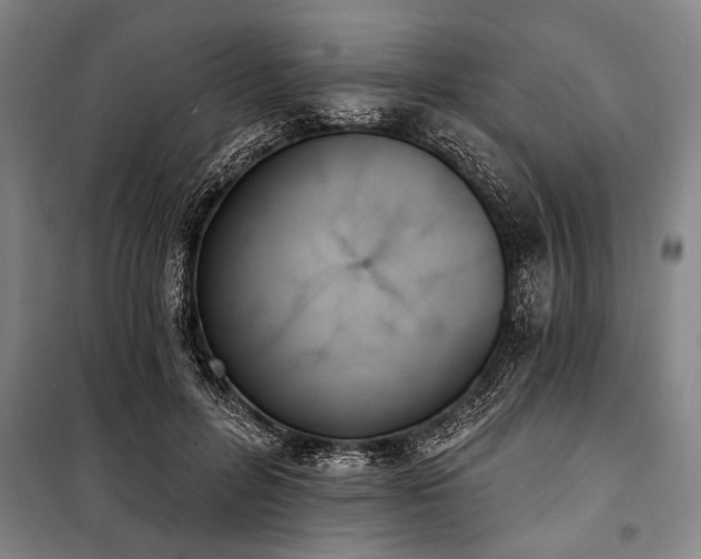 X0000101200600200806271352