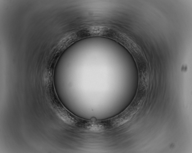 X0000101200601200806271352