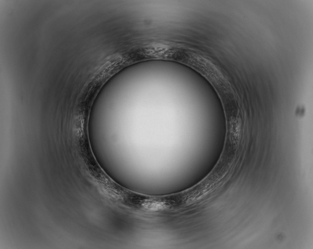 X0000101200602200806271352