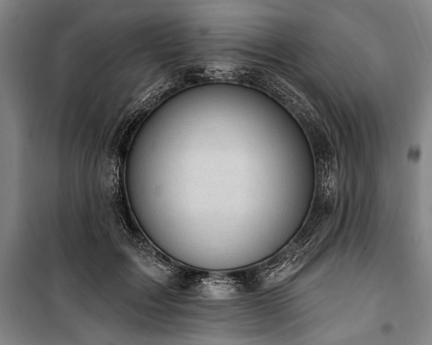 X0000101200603200806271352
