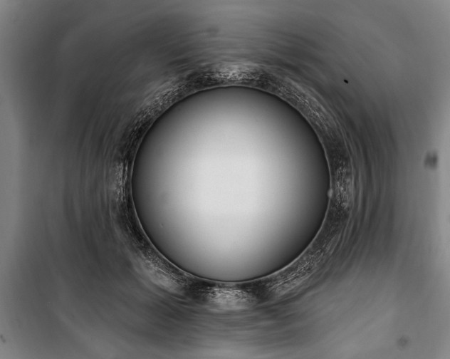 X0000101200605200806271352