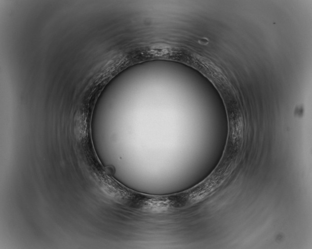 X0000101200606200806271352
