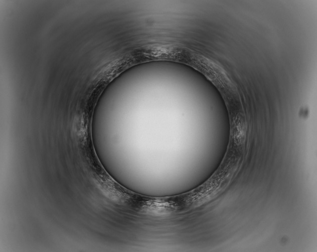 X0000101200607200806271352