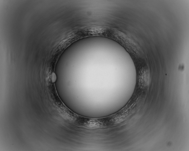 X0000101200608200806271352