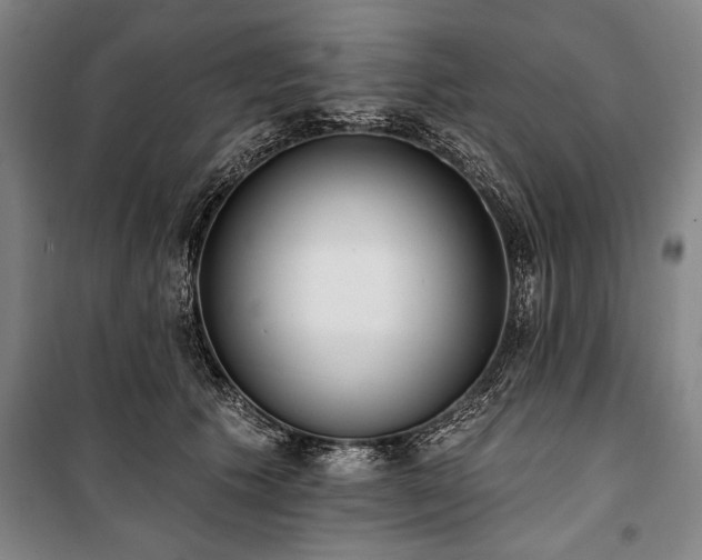 X0000101200609200806271352