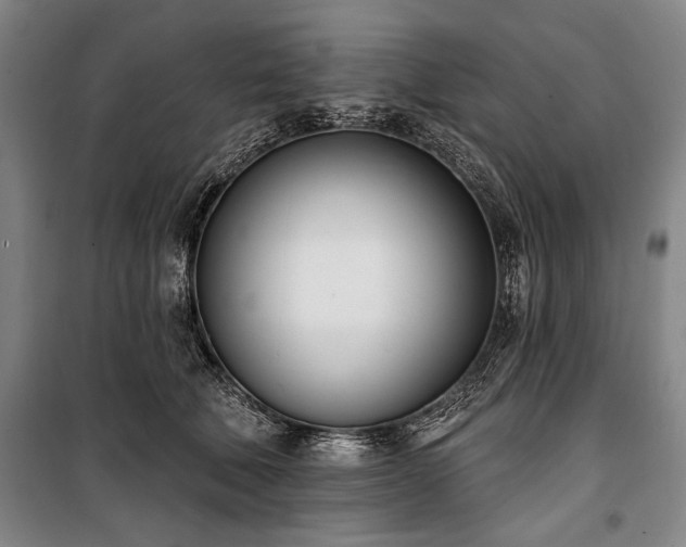 X0000101200610200806271352