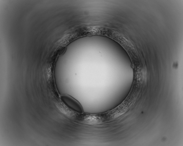 X0000101200611200806271352