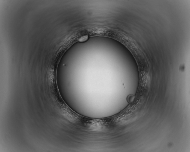 X0000101200612200806271352