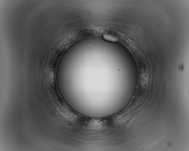 X0000101200613200806271352