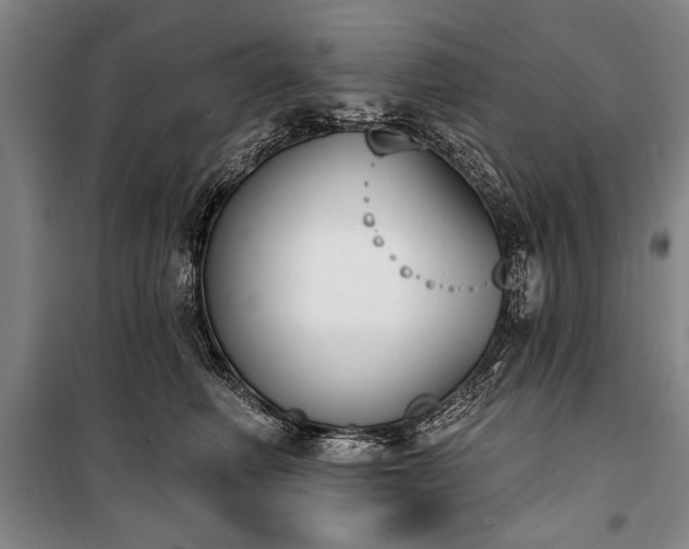 X0000101200614200806271352