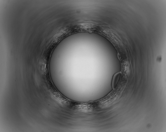 X0000101200615200806271352