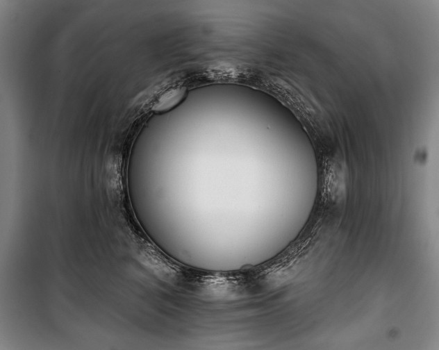 X0000101200616200806271352