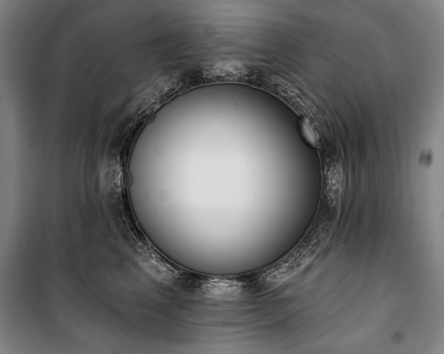 X0000101200617200806271352