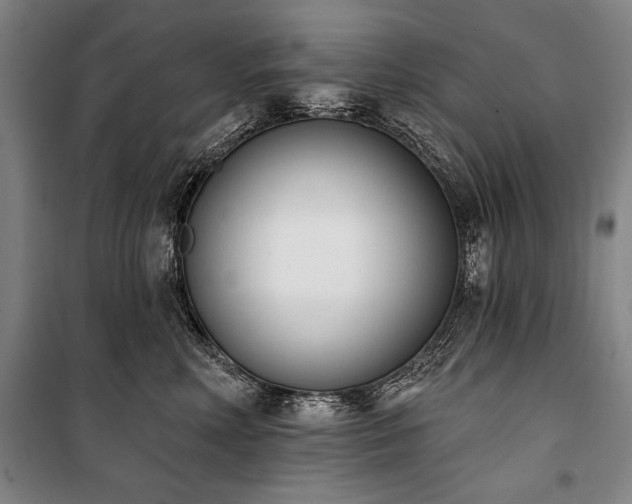 X0000101200618200806271352