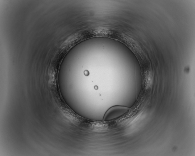 X0000101200619200806271352