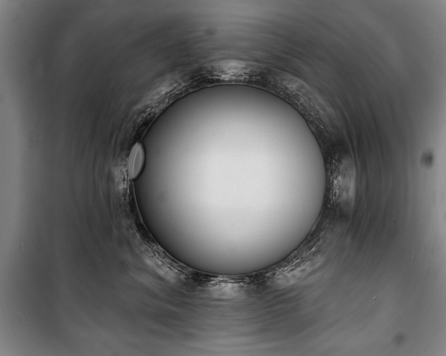 X0000101200620200806271352