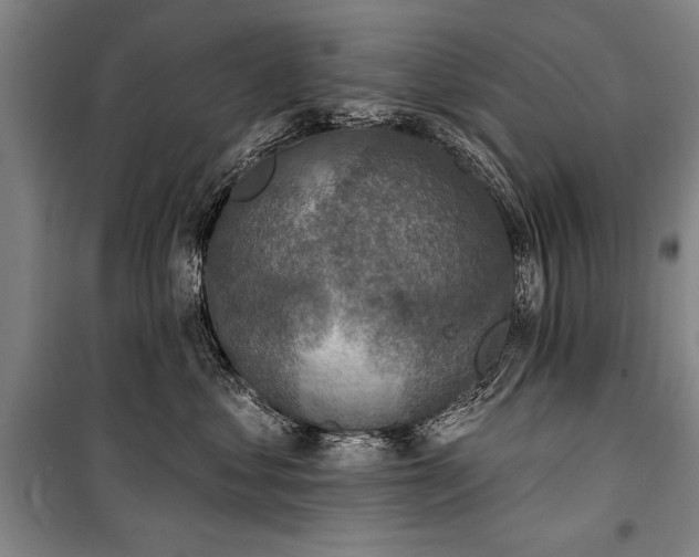 X0000101200621200806271352