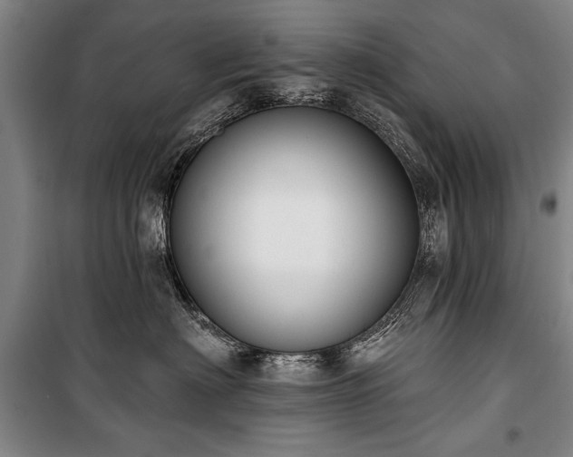 X0000101200622200806271352