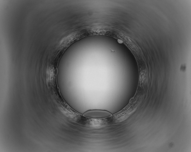 X0000101200623200806271352
