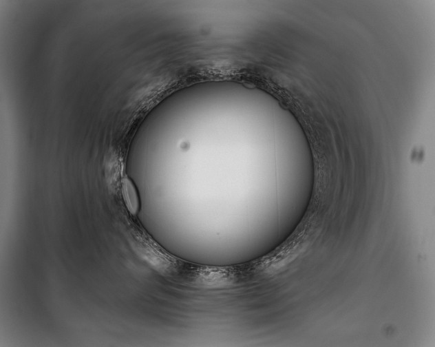 X0000101200624200806271352