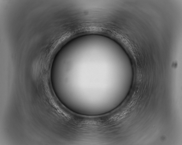 X0000101200625200806271351