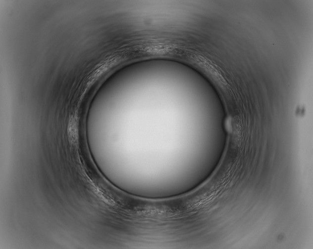 X0000101200626200806271351