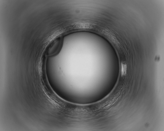 X0000101200627200806271351