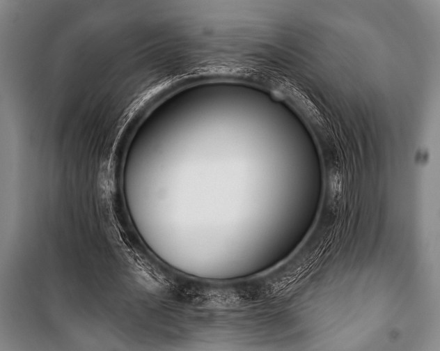 X0000101200628200806271352