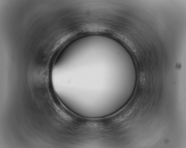 X0000101200629200806271352