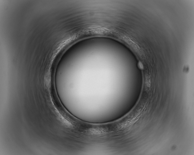 X0000101200630200806271352