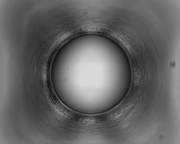 X0000101200631200806271352