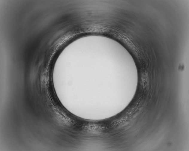 X0000101200632200806271352